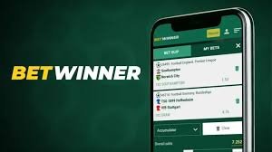 Ultimate Guide to the Betwinner Deposit Page